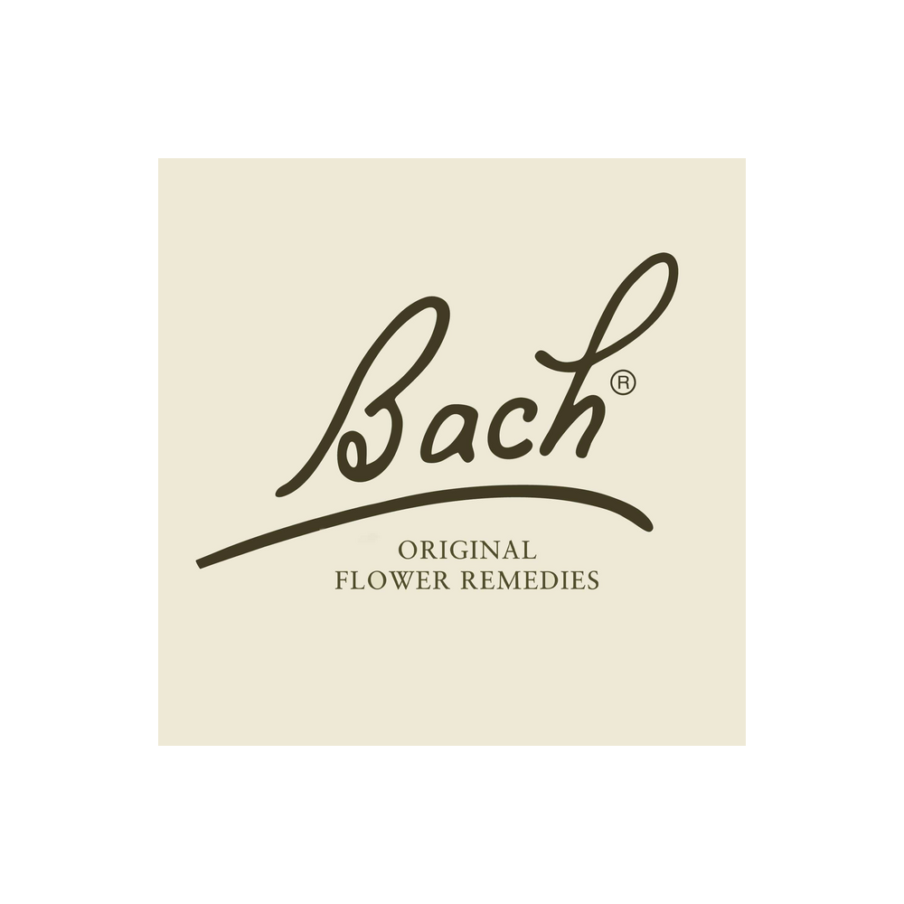 Bach logo