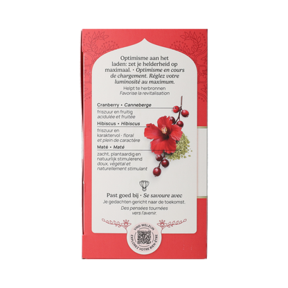 Yogi Tea Positive energy bio 17.00 Zakjes