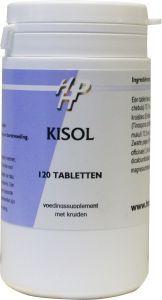 Holisan Kisol 120.00 Tabletten