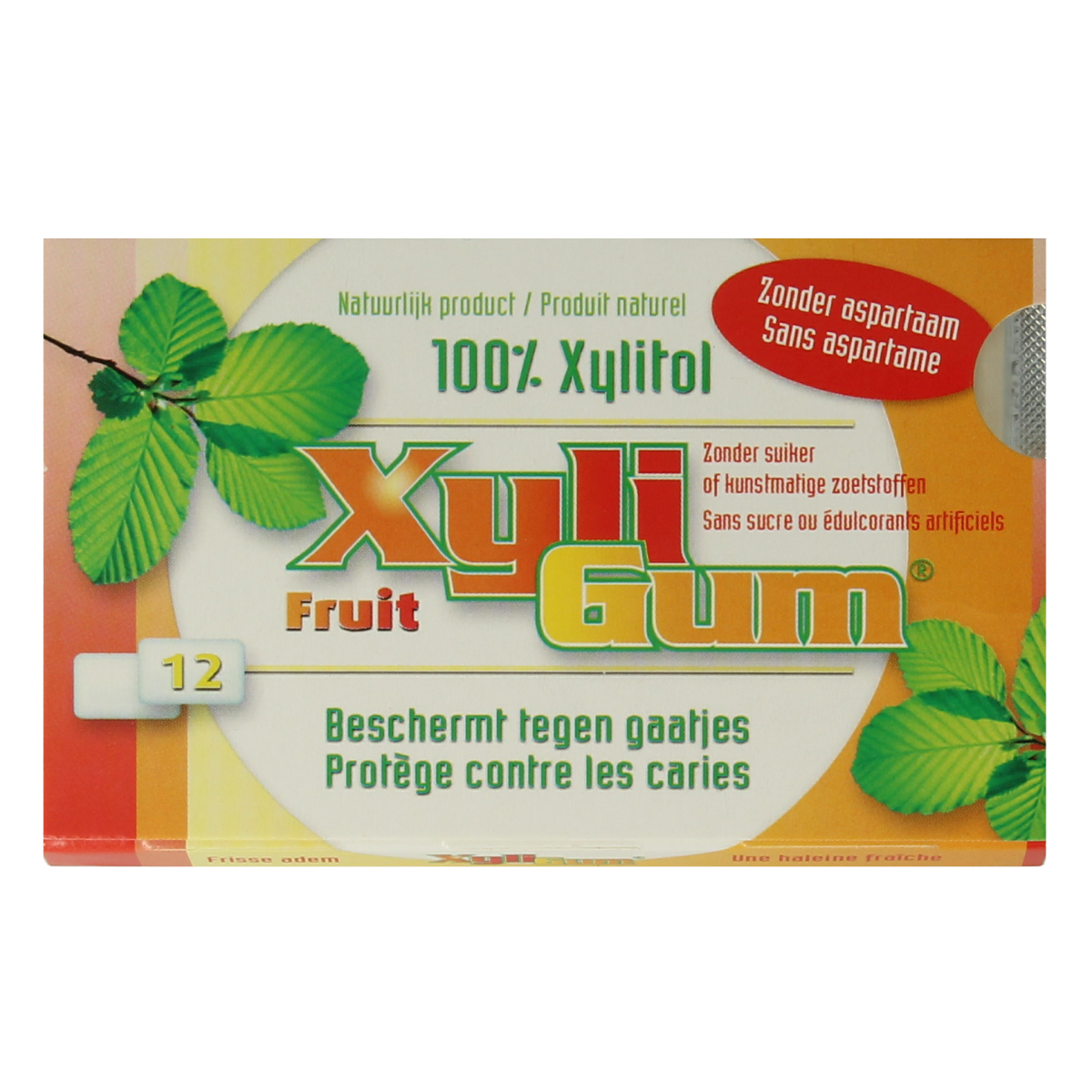Xyligum Fruit 12.00 Stuks