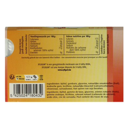Xyligum Fruit 12.00 Stuks