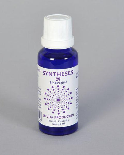 Vita Syntheses 29 bindweefsel/fibro 30.00 Milliliter