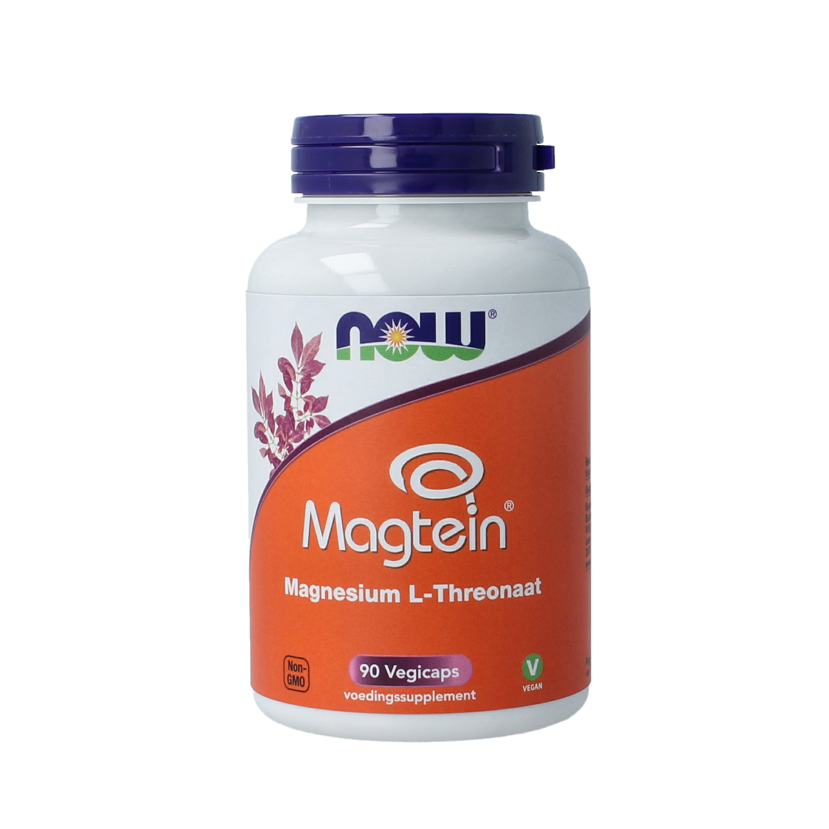 NOW Magtein magnesium L-threonaat 90.00 Vegetarische capsules