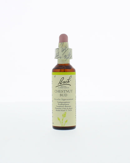 Bach Chestnut bud/kastanjeknop 20.00 Milliliter