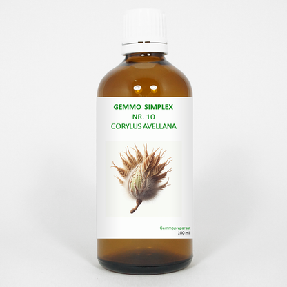 Balancepharma Gemmo simplex 10 corylus avellana 100.00 Milliliter