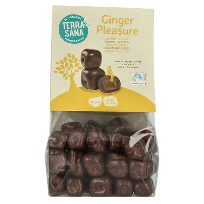 TerraSana Ginger pleasure choco bio 150.00 Gram