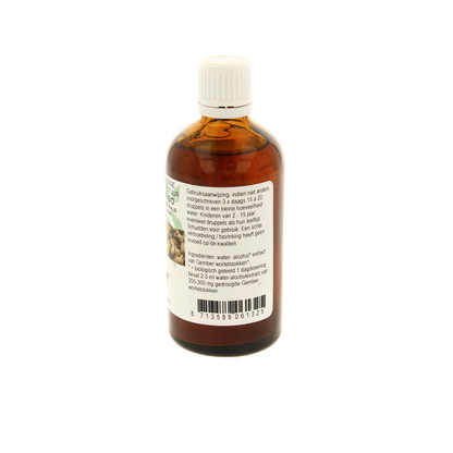 De Cruydhof Zingiber officinalis rhiz/gember tinctuur bio 100.00 Milliliter
