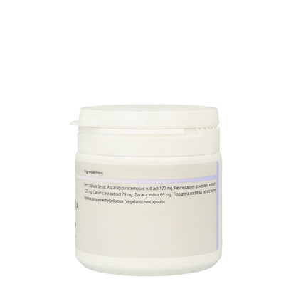 Ayurveda Yonisatva 120.00 Vegetarische capsules