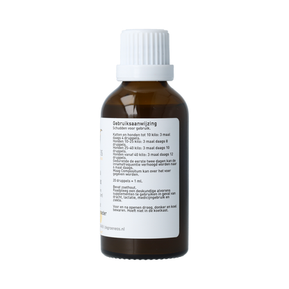 Groene Os Menta complex hond/kat 50.00 Milliliter