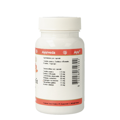 Ayurveda BR Ayu brainfit 60.00 Vegetarische capsules